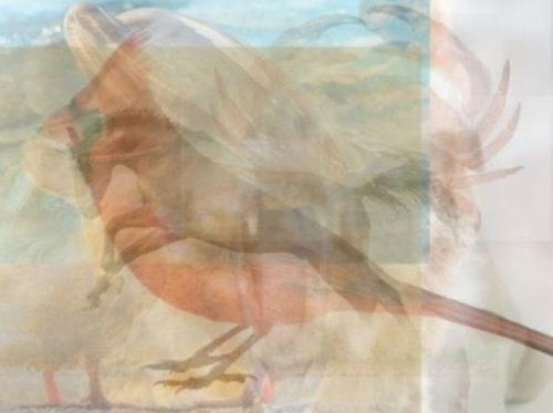 test1