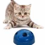 Нужны ли игрушки для кота